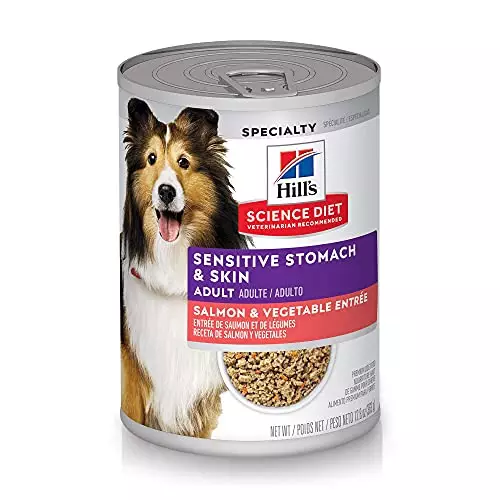 Hill’s Science Diet Wet Dog Food, Adult, Sensitive Stomach & Skin, Salmon & Vegetable Entrée, 12.8 Ounce (Pack of 12)