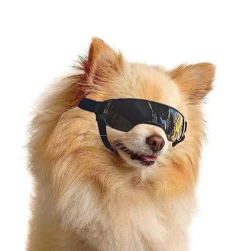 Enjoying Small Dog Sunglasses UV Protection Windproof Antifog Doggy Goggles for Pet Eye Wear, Black