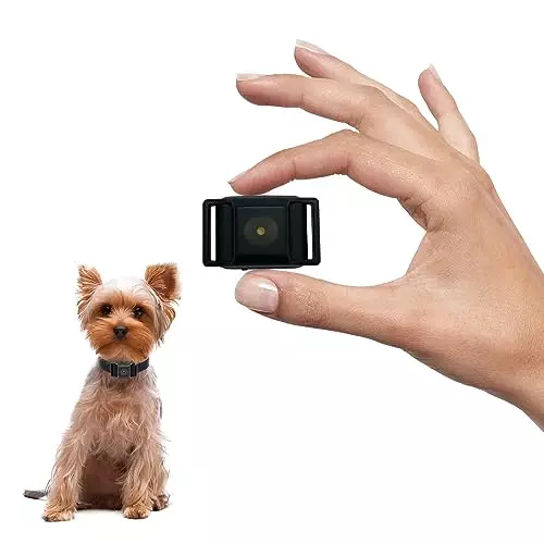 Tiniest Bark Collar for Small Dogs 5-15lbs, Only 1.6 * 1in & 0.42oz, No Shock with Vibration &Sound, Extra Small & Rechargeable, 5 Sensitivity Levels