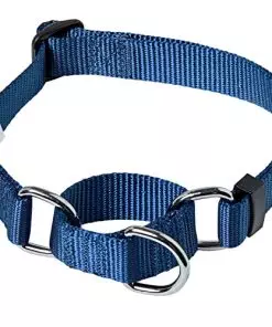 Blueberry Pet Essentials Martingale Safety Training Dog Collar, True Navy, Medium, Heavy Duty Nylon Adjustable Collars for Dogs