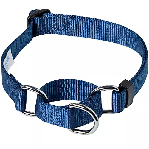 Blueberry Pet Essentials Martingale Safety Training Dog Collar, True Navy, Medium, Heavy Duty Nylon Adjustable Collars for Dogs