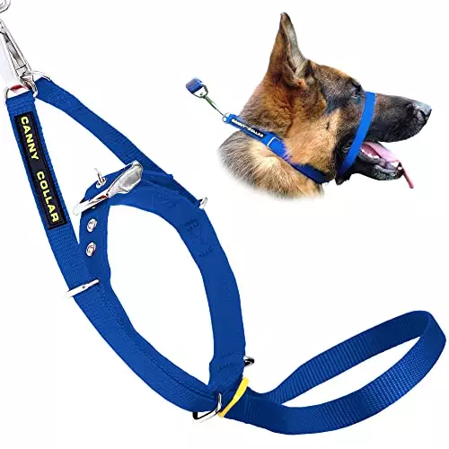 Canny Collar for Dog Training – The Kind, Safe and Comfortable No Pull Dog Collar, Train Your Dog Not to Pull on a Leash – Easy to Use Dog Training Headcollar for Enjoyable Walks – Blue Size 4