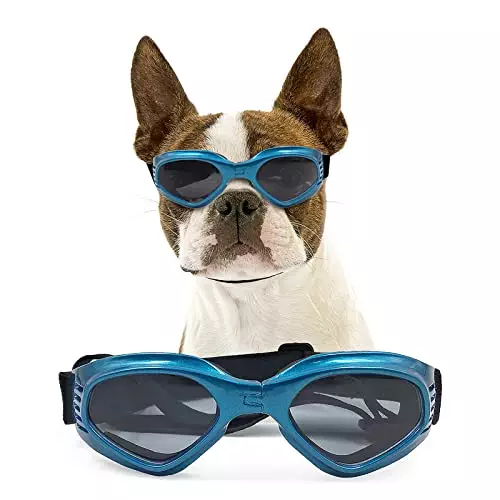 NAMSAN Dog Goggles Medium UV Protection Adjustable Boston Terrier Sunglasses Easy Wear Windproof Motorcycle Dog Glasses for Small to Medium Dogs (Blue)