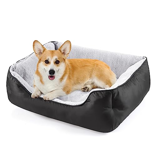 Dog Bed for Large Medium Small Dogs,Rectangle Washable Dog Sofa Bed, Orthopedic Dog Bed,Soft Puppy Bed Durable Orthopedic Calming Pet Cuddler with Anti-Slip Bottom M(25″x 21″x 8″)
