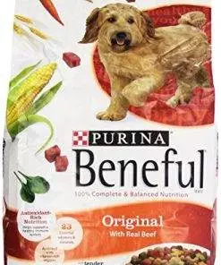 Purina Beneful Dry Dog Food, Original With Real Beef, 3.5 Lb Bag