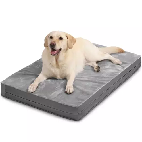 Orthopedic Dog Beds for Large Medium Dogs, Washable Waterproof Dog Bed with Removable Cover, Egg Crate Foam Pet Bed,Dog Mattress,Kennel Pad 36 inch, 35″x22″, Gray