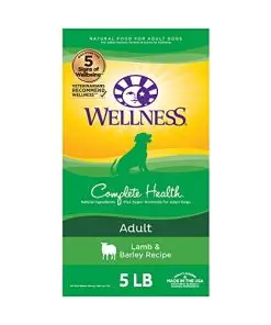 Wellness Complete Health Dry Dog Food with Grains, Natural Ingredients, Made in USA with Real Meat, All Breeds, For Adult Dogs (Lamb & Barley, 5-Pound Bag)