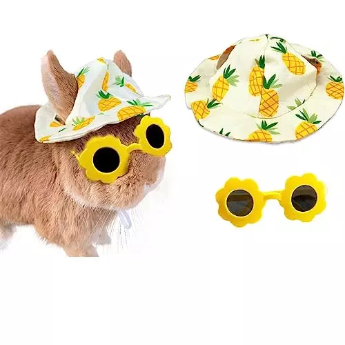 Cute Small Summer Hat and Glasses Costume Outfit Accessories for Pet Bunny Kitten Guinea Pig Chinchillas (Pineapple)