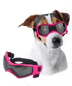 Lesypet Dog Goggles Small Breed, Dog Sunglasses UV Protection Wind Protection for Small Dogs Outdoor, Medium