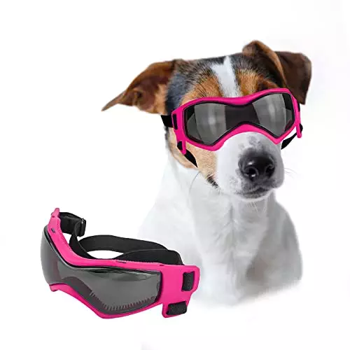 Lesypet Dog Goggles Small Breed, Dog Sunglasses UV Protection Wind Protection for Small Dogs Outdoor, Medium