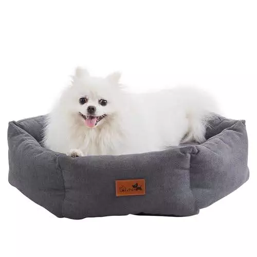 MixPet Dog Bed for Small and Medium Dogs – Washable and Comfortable Pet Bed(S)