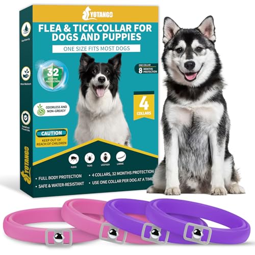 4 Pack Flea Collar for Dogs, Dog Flea and Tick Collar 8 Months Flea and Tick Treatment Prevention for Dogs, Waterproof Adjustable Dog Flea Collar Natural Tick and Flea Collar for Dogs (Pink&Purple)