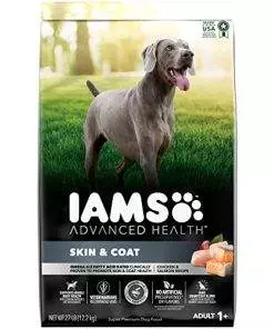 IAMS Advanced Health Skin & Coat Chicken and Salmon Recipe Adult Dry Dog Food, 27 lb. Bag