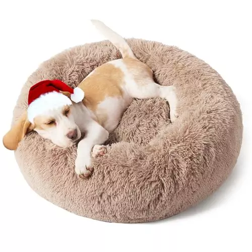 Bedsure Calming Dog Bed for Small Dogs – Donut Washable Small Pet Bed, 23 inches Anti-Slip Round Fluffy Plush Faux Fur Large Cat Bed, Fits up to 25 lbs Pets, Camel