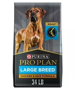 Purina Pro Plan High Protein, Digestive Health Large Breed Dry Dog Food, Chicken and Rice Formula – 34 Lb. Bag
