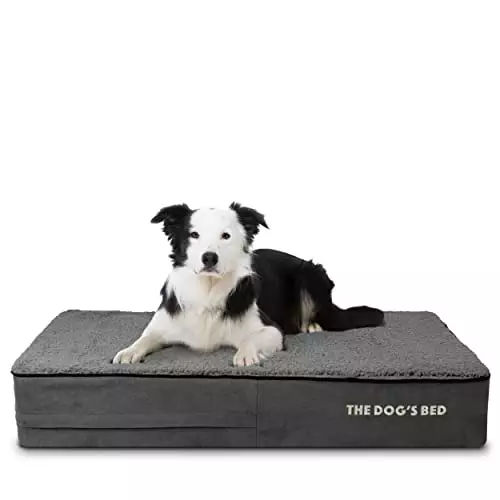 The Dog’s Bed Orthopedic Memory Foam Dog Bed, Large Grey Plush 40×25, Pain Relief for Arthritis, Hip & Elbow Dysplasia, Post Surgery, Lameness, Supportive, Calming, Waterproof Washable Cover