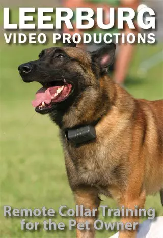 Remote Collar Training for The Pet Owner with Ed Frawley DVD [DVD] [2006]