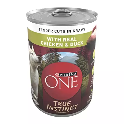 Purina ONE High Protein Wet Dog Food True Instinct Tender Cuts in Dog Food Gravy With Real Chicken and Duck – (12) 13 oz. Cans