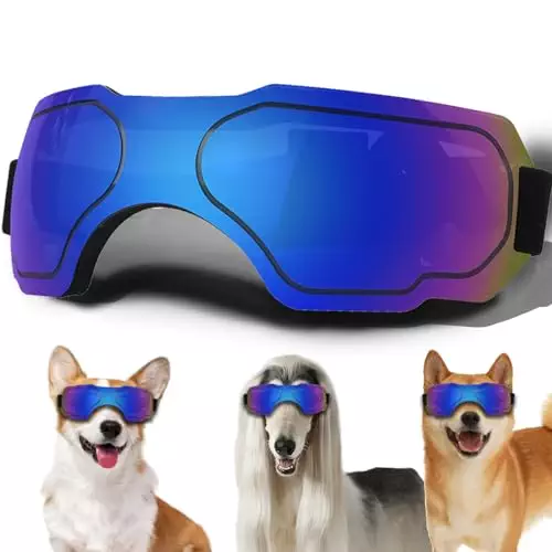 Medium Dog Sunglasses, Dog Goggles with Adjustable Strap UV Protection Winproof Dog Puppy Sunglasses, Suitable for Medium Dog Pet Glasses, Dogs Eyes Protection