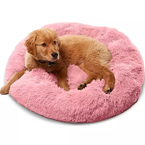 Premium Dog Beds for Large Dogs and Medium Dogs – Portable Dog Beds & Furniture – Dog Travel – Fits up to 25 lbs, (Small, Pink)