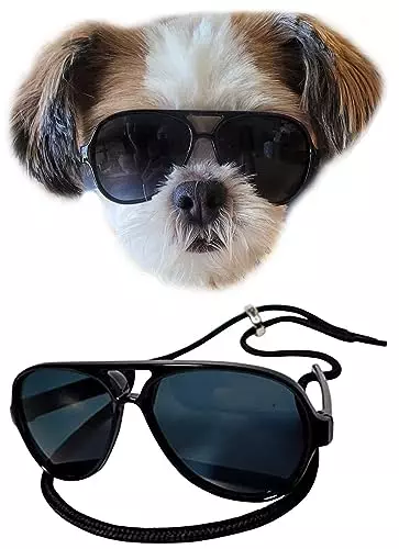 G029 Dog Cat Pet Aviator Sunglasses Glasses for Small Breeds up to 15lbs (Black)