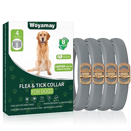 4 Pack Flea Collar for Dogs, Dog Flea and Tick Treatment, 8 Months Protection Flea and Tick Collar for Dogs, Waterproof Dog Flea Collar, Adjustable Collar Flea and Tick Prevention for Dogs
