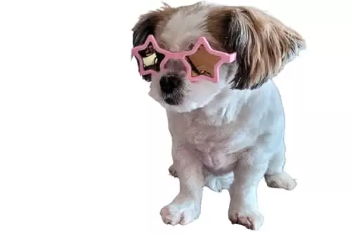 G045-jnst Dog Cat Pet Star Shape Costume Sunglasses Small to Medium Breeds 15-25lbs (Pink-Pink Mirror)