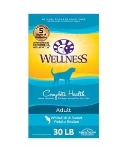 Wellness Complete Health Dry Dog Food with Grains, Made in USA with Real Meat & Natural Ingredients, All Breeds, Adult Dogs (Whitefish, 30-lb) – With Nutrients for Immune, Skin, & Coat Support