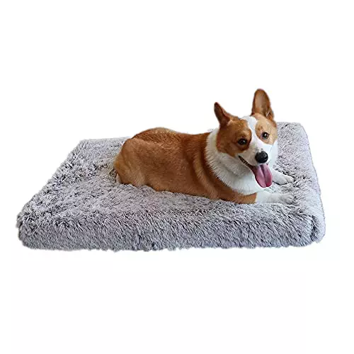 Dog Bed Memory Foam Dog Bed Comfortably Orthopaedic Dog beds Detachable and Washable Pet Dog Bed Dog Mat Cage Dog Box Mat 30-20-4in