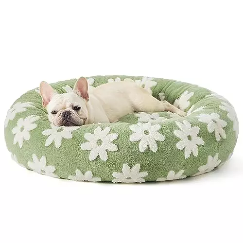 Lesure Donut Small Dog Bed – Round Cat Beds for Indoor Cats Calming Pet Beds, Cute Modern Beds with Jacquard Shaggy Plush & Anti Slip Bottom, 30 Inch, Green