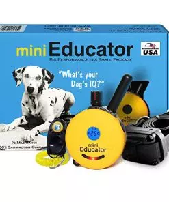 E-Collar – ET-300-1/2 Mile Remote Waterproof Trainer Mini Educator Remote Training Collar – 100 Training Levels Plus Vibration and Sound – Includes PetsTEK Dog Training Clicker