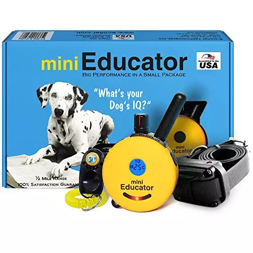 E-Collar – ET-300-1/2 Mile Remote Waterproof Trainer Mini Educator Remote Training Collar – 100 Training Levels Plus Vibration and Sound – Includes PetsTEK Dog Training Clicker