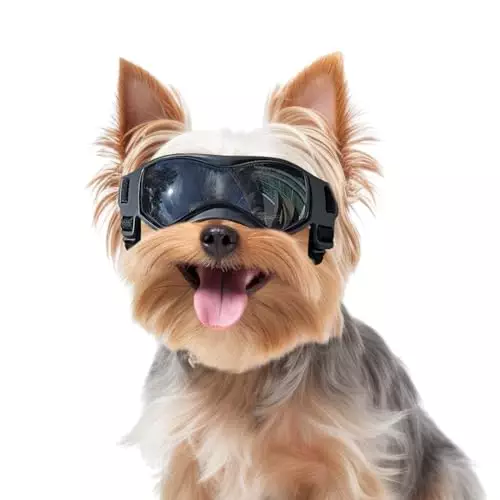 Dog Goggles Small Breed, Dog Sunglasses Small Breed Dog Eye Sun Light Protection, UV Protection Goggles for Dog with Adjustable Straps, Small Black