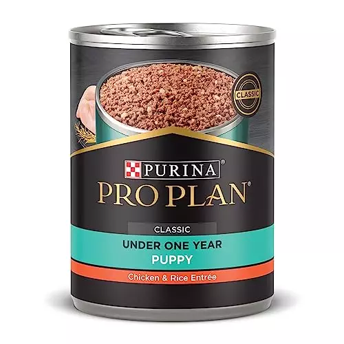 Purina Pro Plan High Protein Puppy Food Pate, Chicken and Brown Rice Entree – (Pack of 12) 13 oz. Cans