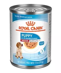 Royal Canin Size Health Nutrition Medium Puppy Thin Slices in Gravy Wet Dog Food, 13 oz can (12-count)