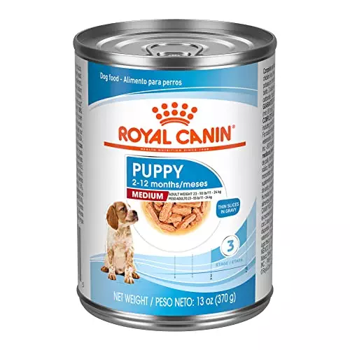 Royal Canin Size Health Nutrition Medium Puppy Thin Slices in Gravy Wet Dog Food, 13 oz can (12-count)