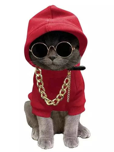 QWINEE 3Pcs Dog Hoodie Cat Apparel Dog Custume Set with Necklace and Sunglasses Pet Clothes for Puppy Small Medium Dogs Cats Red XS