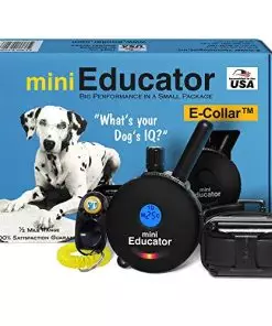 Educator – ET-300 Black – Ecollar Dog Training Collar with Remote Control – 1/2 Mile Range, Waterproof, Rechargeable, 100 Training Stimulation Levels, Vibration and Tone W/PetsTEK Training Clicker