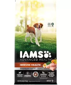 IAMS Advanced Health Immune Health Chicken & Superfoods Recipe Adult Dry Dog Food, 6 lb. Bag