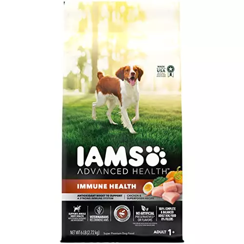 IAMS Advanced Health Immune Health Chicken & Superfoods Recipe Adult Dry Dog Food, 6 lb. Bag