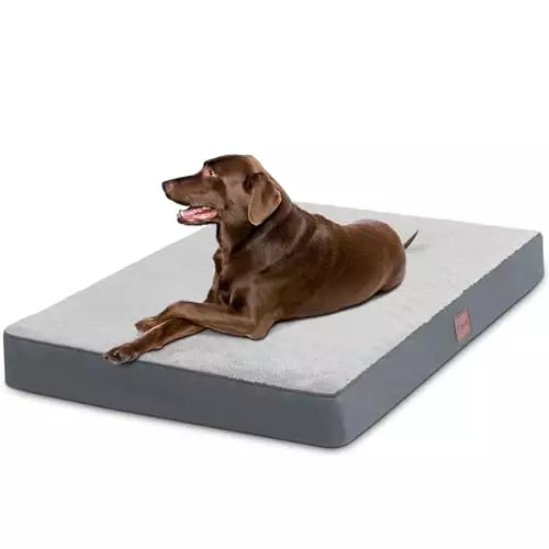MIHIKK Waterproof Dog Beds Large Sized Dog with Machine Washable Cover Orthopedic Dog Bed with Anti-Slip Bottom, 36 x 27 Inch, Light Grey