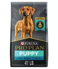 Purina Pro Plan Large Breed Dry Puppy Food, Chicken And Rice Formula – 47 Lb. Bag