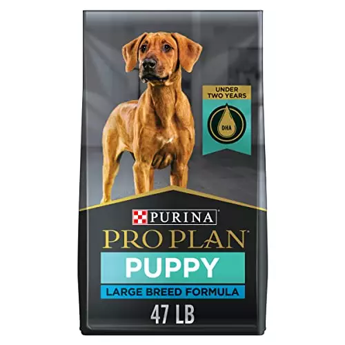 Purina Pro Plan Large Breed Dry Puppy Food, Chicken And Rice Formula – 47 Lb. Bag