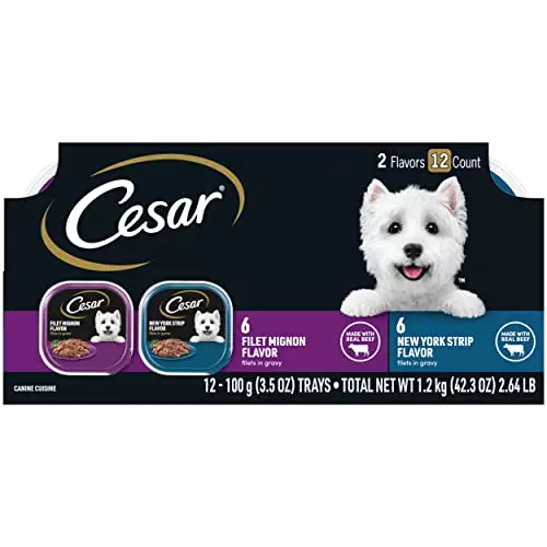 CESAR Filets in Gravy Adult Wet Dog Food Variety Pack, Filet Mignon and New York Strip Flavors, 3.5 oz Trays, 12 Count