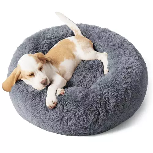 Bedsure Calming Dog Bed for Small Dogs – Donut Washable Small Pet Bed, 23 inches Anti-Slip Round Fluffy Plush Faux Fur Large Cat Bed, Fits up to 25 lbs Pets, Dark Grey