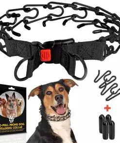 PetJett Training Collar for Dogs