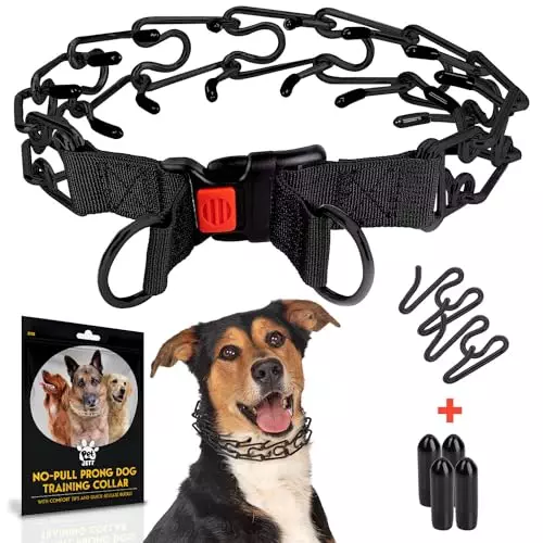 PetJett Training Collar for Dogs