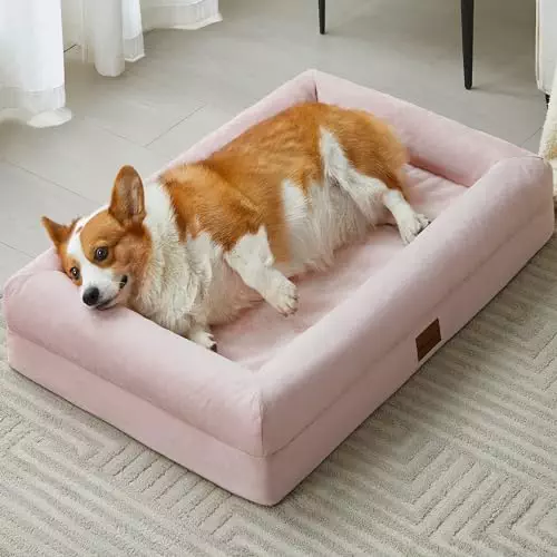 BFPETHOME Orthopedic Dog Beds for Medium Dogs, Washable Medium Dog Beds with Bolster, Sofa Medium Dog Beds with Removable Covers & Waterproof Dog Beds for Pet