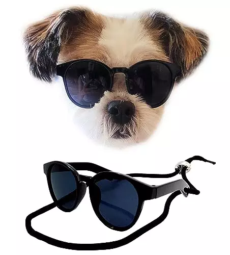 G039 Small Breed up to 15lbs Dog Cat Pet Puppy Panto Round Sunglasses (Black)