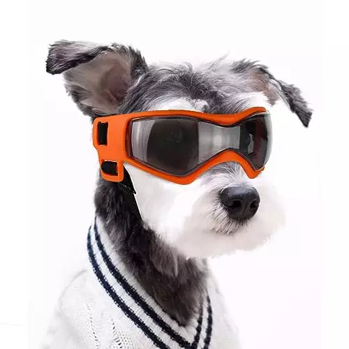 Billionchains Dog Goggles Dog Sunglasses for Medium Breed UV Protection Windproof with Adjustable Head Straps Chin Straps for Ride Car/Hiking Travel/On Beach-Orange